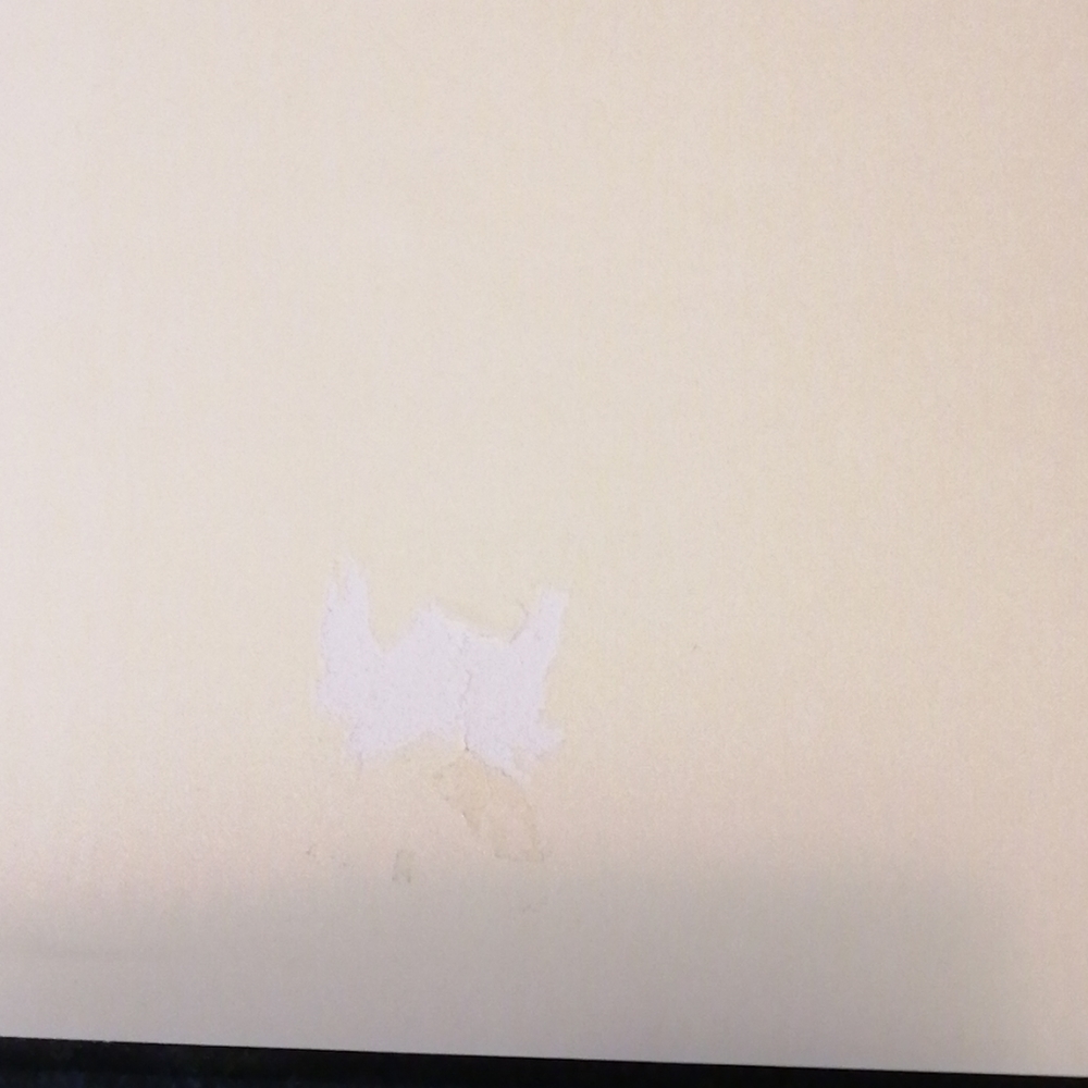 Photo Album - Picture 4 of 4